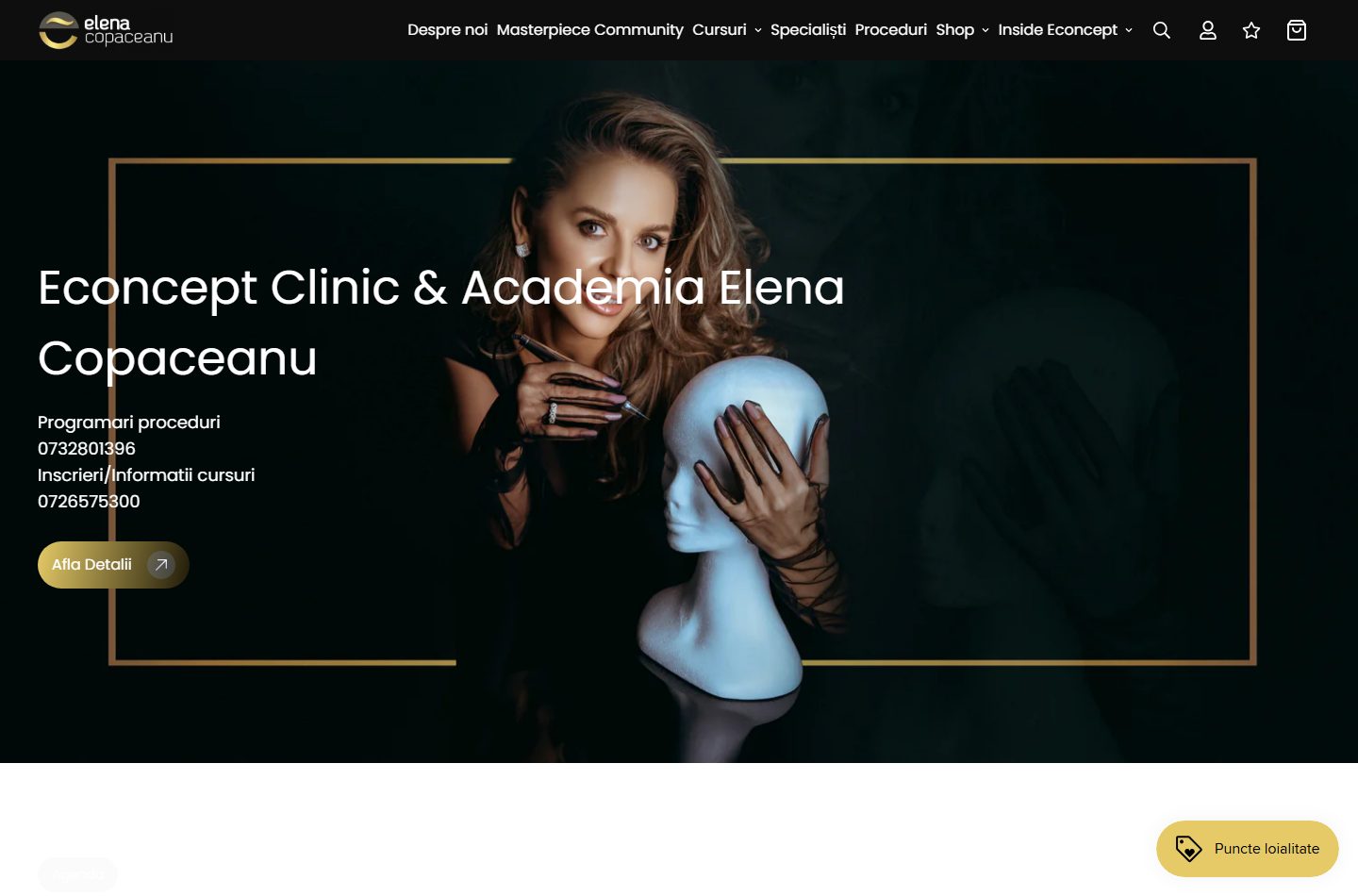 Academia Elena Copaceanu desktop