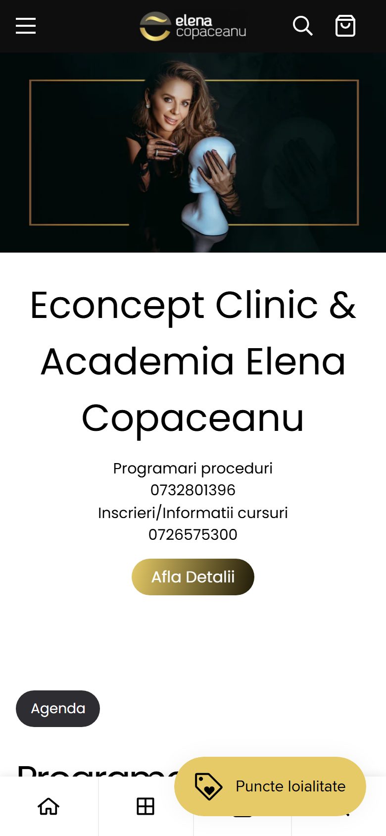 Academia Elena Copaceanu mobil