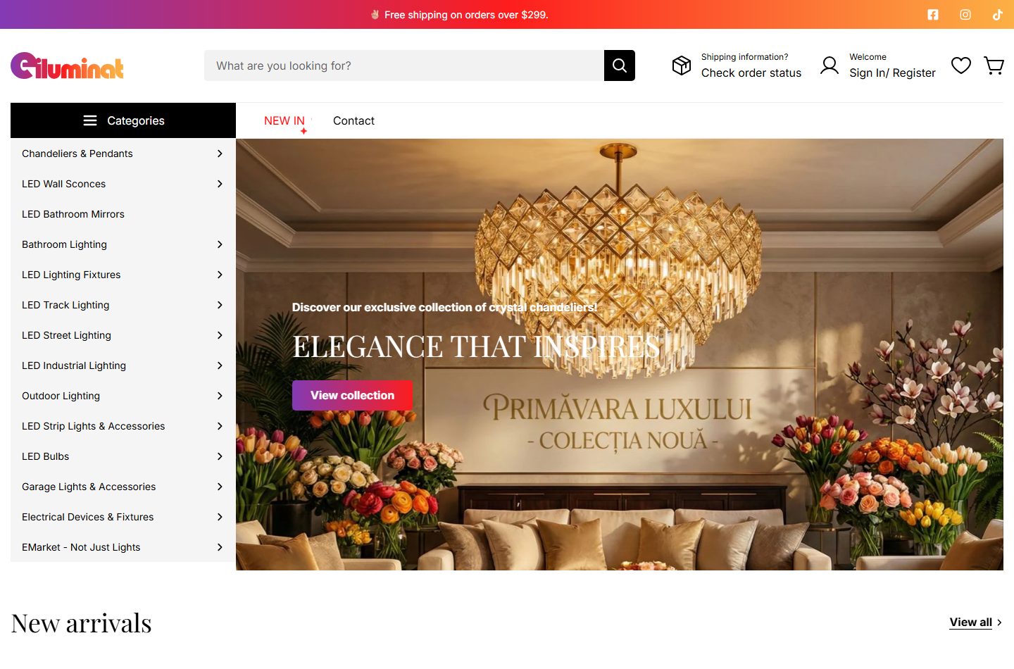 eIluminat International desktop